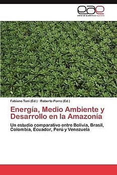 Energía, Medio Ambiente y Desarrollo en la Amazonía