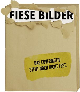 Fiese Bilder - Buchausgabe 2023