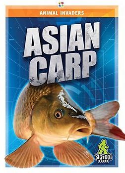 Asian Carp