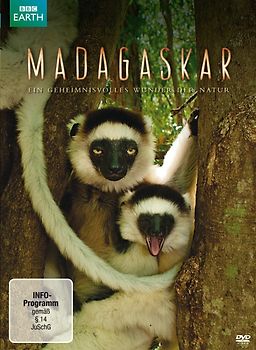 Madagaskar DVD