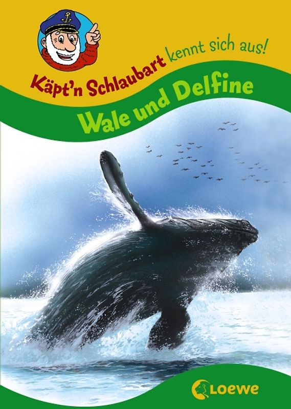 Wale und Delfine
