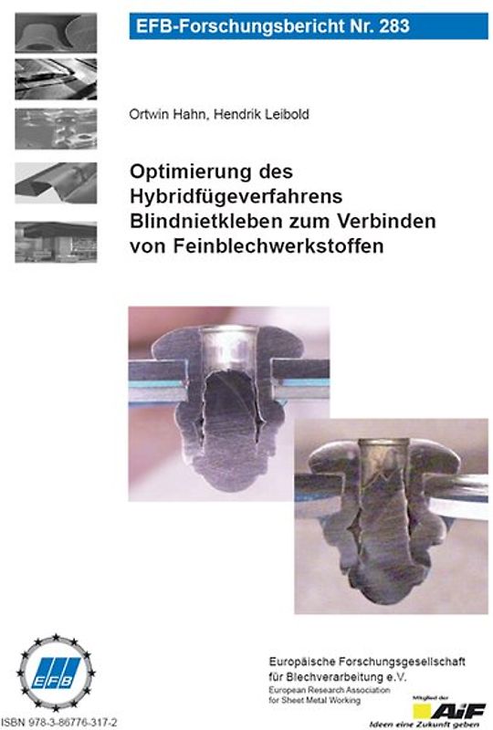 Optimierung des Hybridfügeverfahrens Blindnietkleben zum Verbinden von Feinblechwerkstoffen