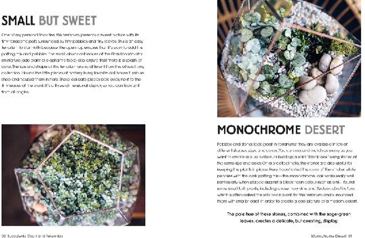 Terrarium Imaginarium