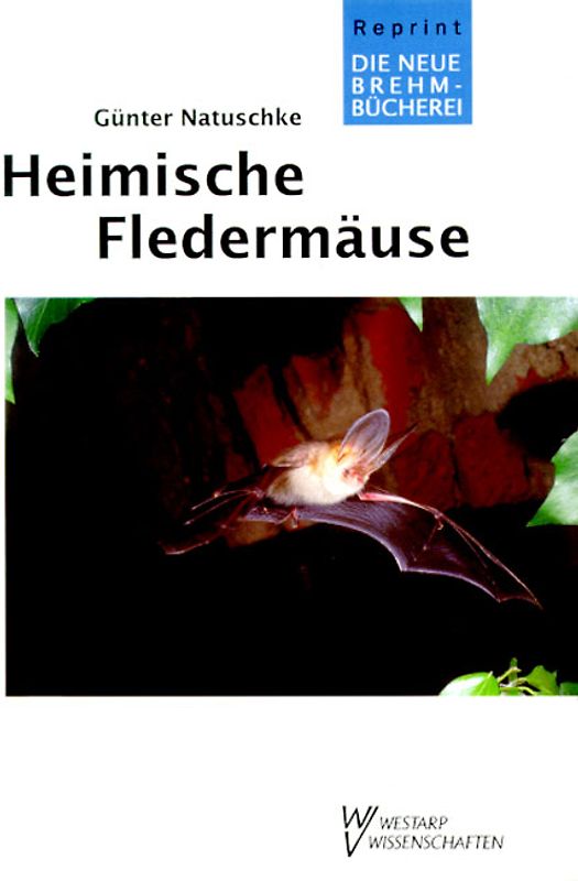 Heimische Fledermäuse
