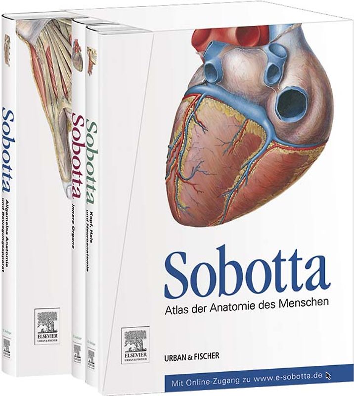 Sobotta, Atlas der Anatomie des Menschen 3 Bände und Tabellenheft im Schuber, inklusive Zugang zur Sobotta-Website