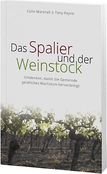 Das Spalier und der Weinstock