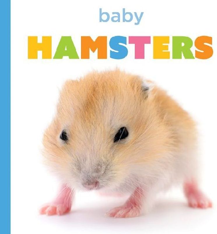Baby Hamsters
