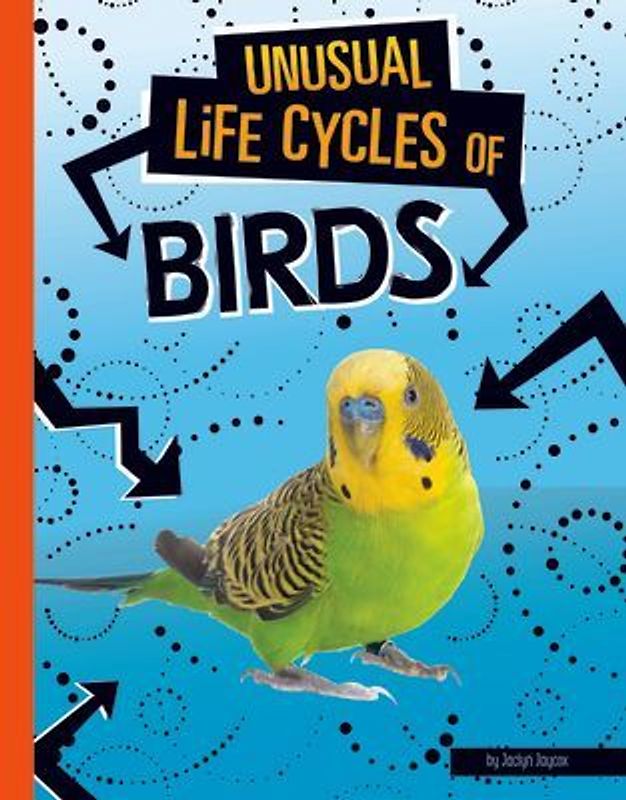 Unusual Life Cycles of Birds