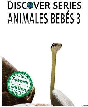 Animales Bebés 3