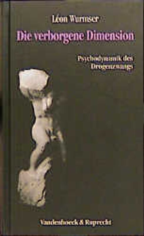 Die verborgene Dimension