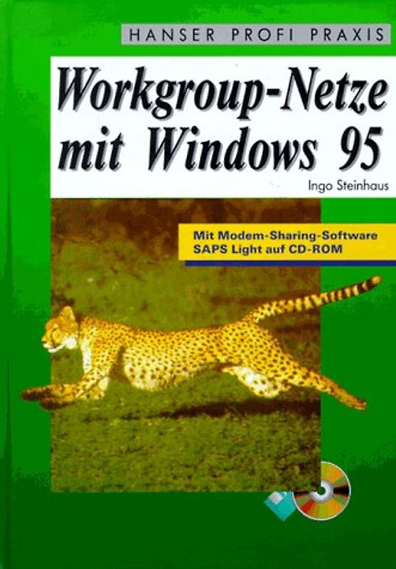 Workgroup-Netze mit Windows 95