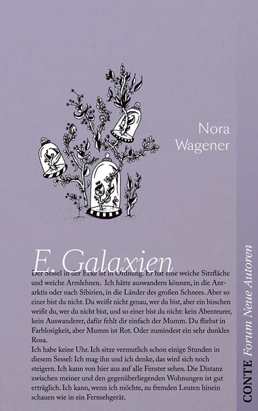 E.Galaxien
