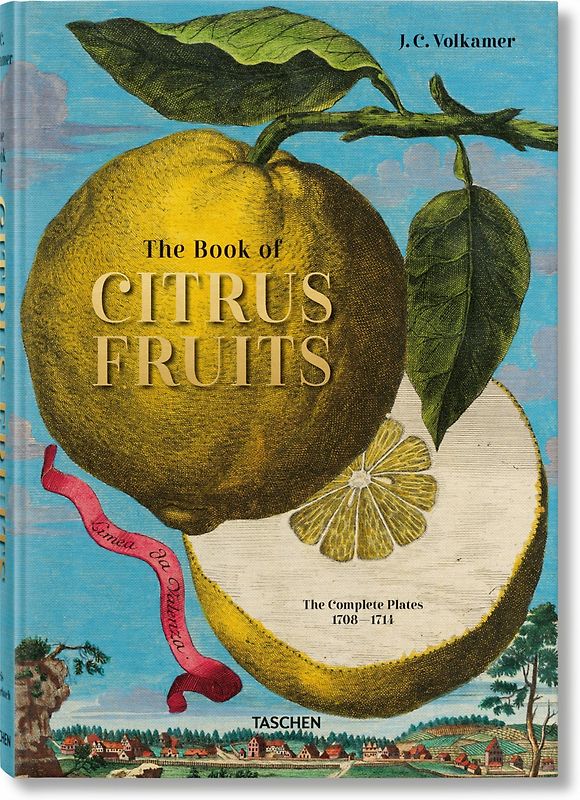 J. C. Volkamer. The Book of Citrus Fruits