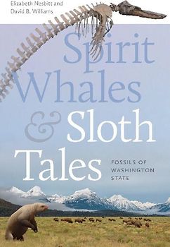 Spirit Whales and Sloth Tales