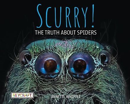 Scurry! the Truth about Spiders