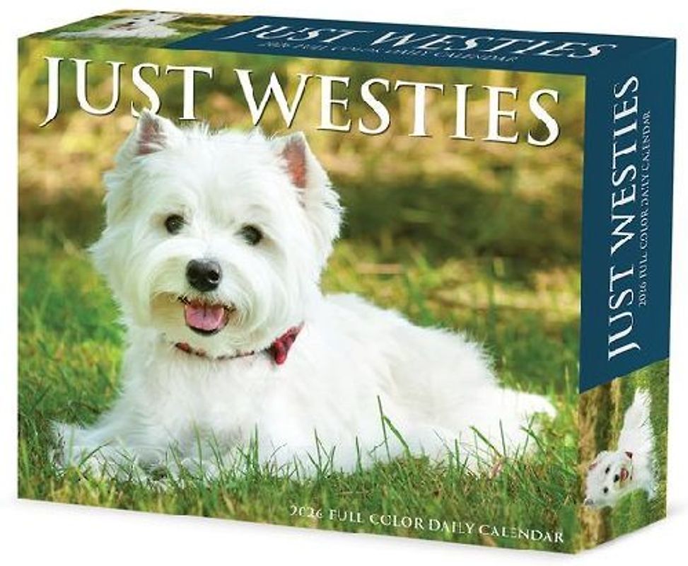 Westies 2026 5.4 X 6.2 Box Calendar