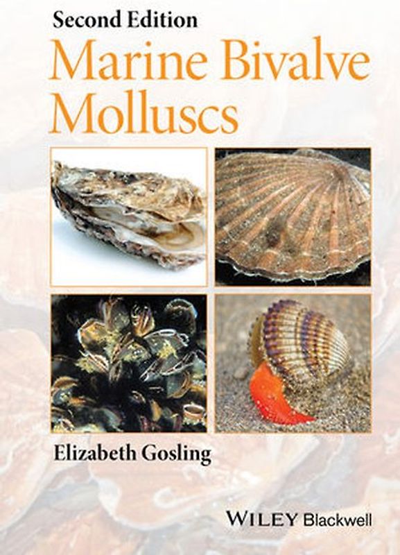 Marine Bivalve Molluscs