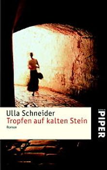 Tropfen auf kalten Stein. Roman
