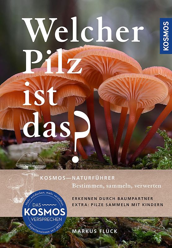 Welcher Pilz ist das?