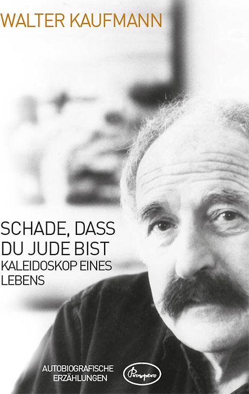 Schade, dass du Jude bist. Kaleidoskop eines Lebens – Autobiografische Erzählungen