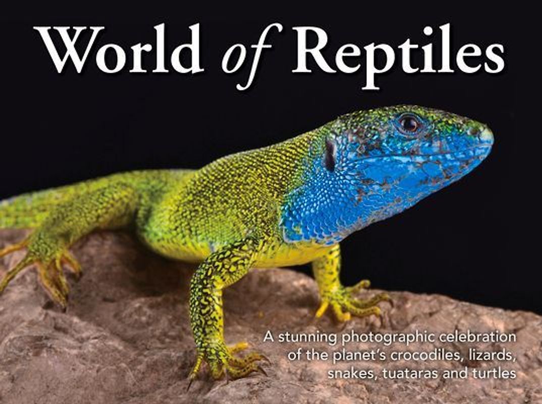World of Reptiles