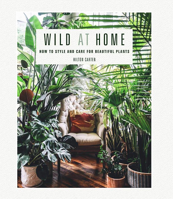 Wild at Home: How to style and care for beautiful plants - Hilton Carter [Gebundene Ausgabe]