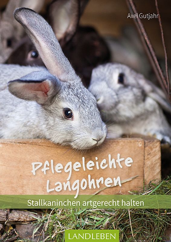 Pflegeleichte Langohren