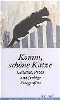 Komm, schöne Katze
