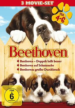 Beethoven - Teil 4-6 [3 DVDs] DVD