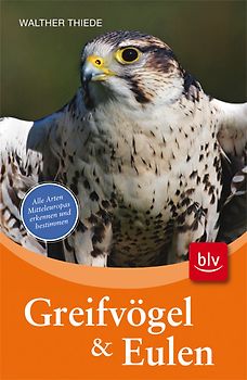 Greifvögel und Eulen