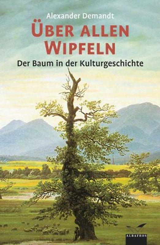 Über allen Wipfeln
