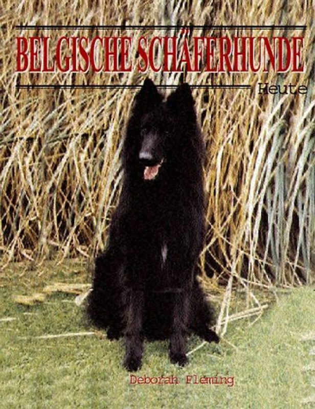 Belgische Schäferhunde - Heute