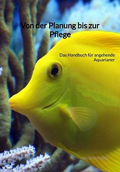 Von der Planung bis zur Pflege