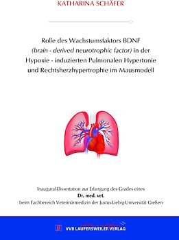 Rolle des Wachstumsfaktors BDNF (brain - derived neurotrophic factor) in der Hypoxie - induzierten Pulmonalen Hypertonie und Rechtsherzhypertrophie im Mausmodell