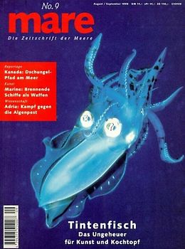 Tintenfisch. Das Ungeheuer für Kunst und Kochtopf