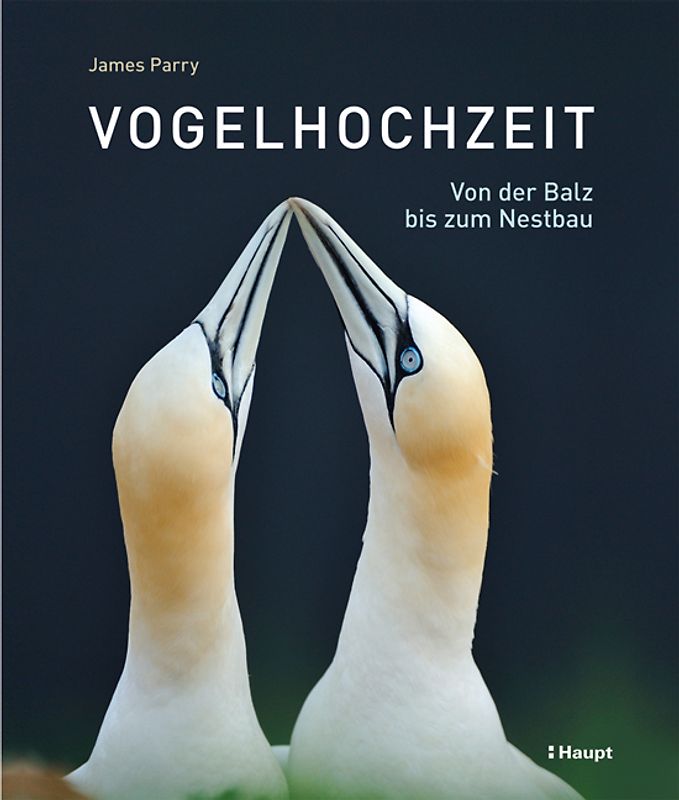 Vogelhochzeit