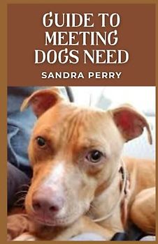 Guide to Meeting Dogs Need: Aѕ a dog оwnеr, уоu wаnt tо knоw thаt you аrе tаkіng рrореr саrе оf уоur dоg.