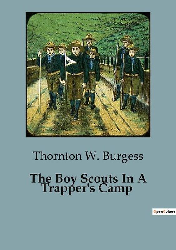 The Boy Scouts In A Trapper's Camp