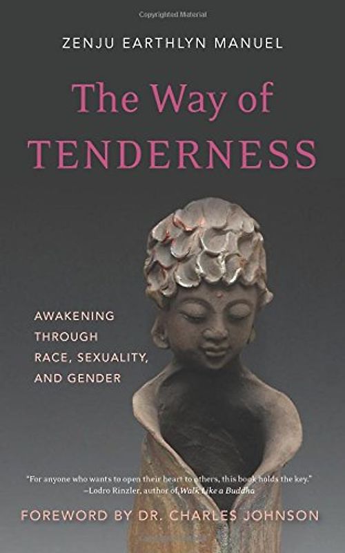 The Way of Tenderness: Awakening through Race, Sexuality, and Gender - Manuel, Earthlyn