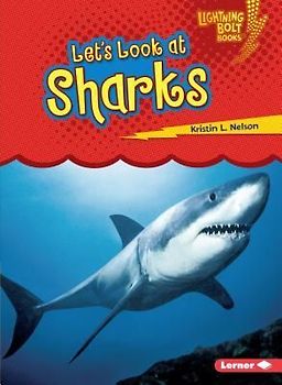 Let's Look at Sharks