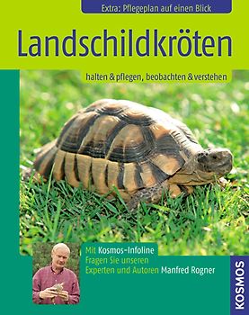 Landschildkröten