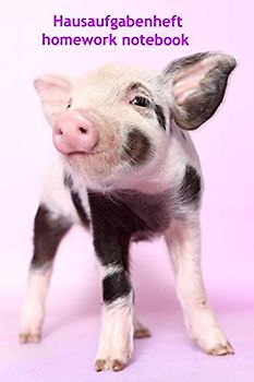 Hausaufgabenheft homework notebook: Inkl. Stundenplan und freie linierte Seiten für Notizen, Softcover