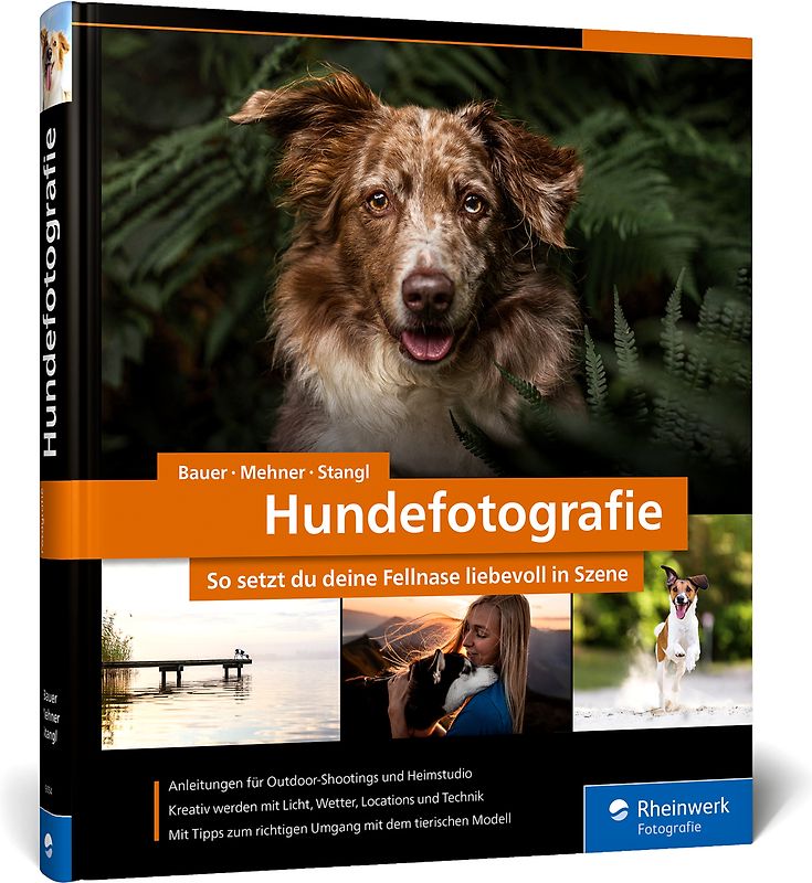 Hundefotografie