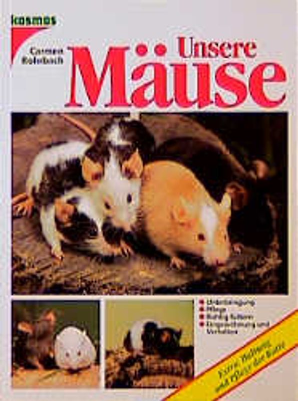 Unsere Mäuse. Extra: Haltung und Pflege der Ratte