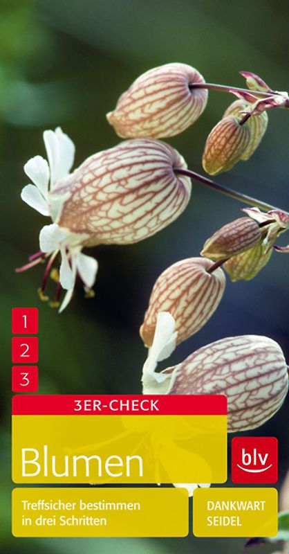Blumen