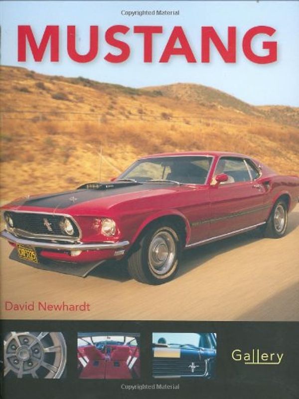 Mustang (Gallery)