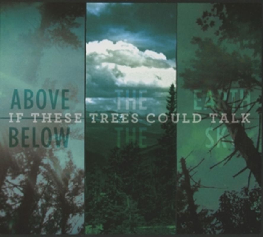 If These Trees Could Talk - Above The Earth,Below The Sky