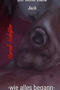 der kleine Hund Jack