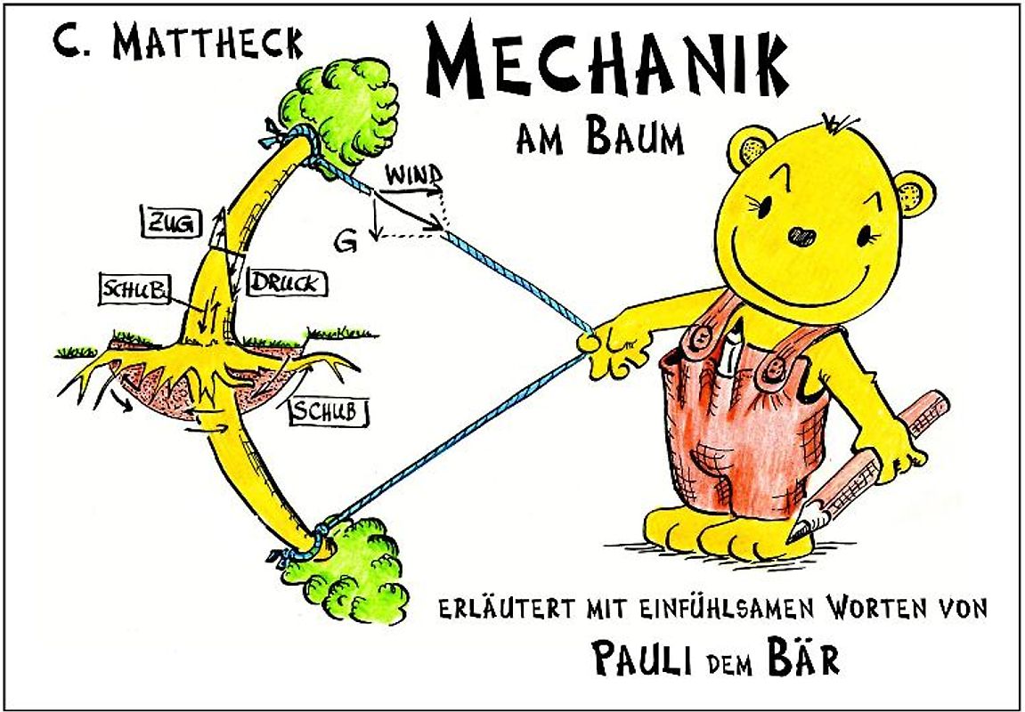 Mechanik am Baum