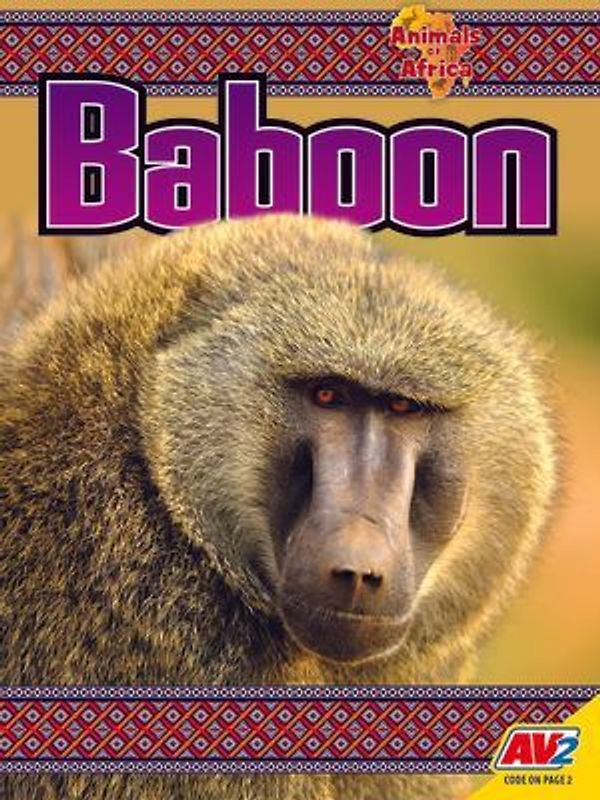 Baboon